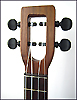 Peghed Tuners