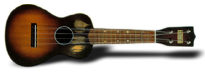 Roy Smeck Concert Ukulele