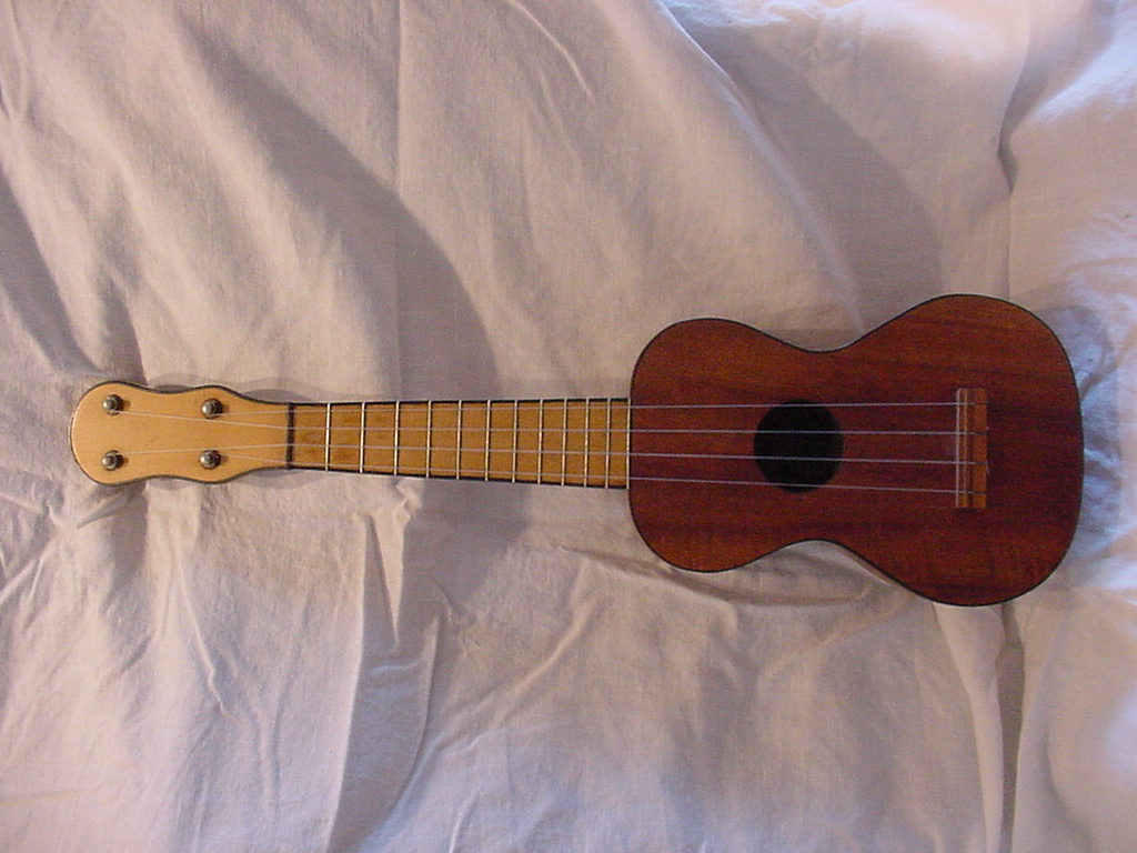 Flea Market Music offers an on-line community for ukulele players to ...